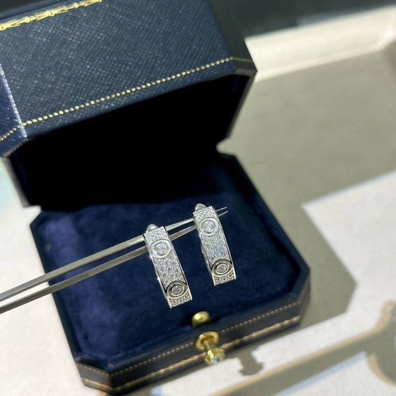 Unclassified Brand Earrings FlexibleFit 213777