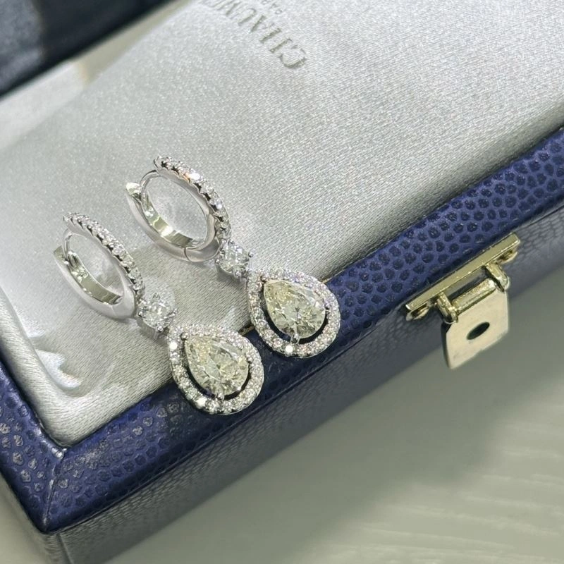 Youthful Unclassified Brand Earrings 213775
