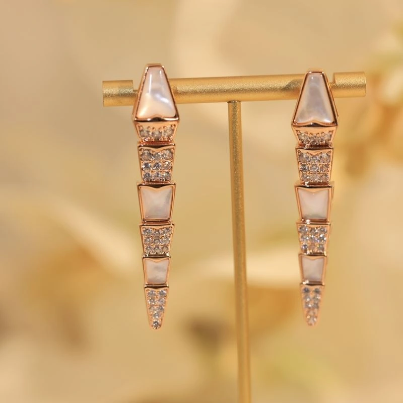 Unclassified Brand Earrings Classic 213752
