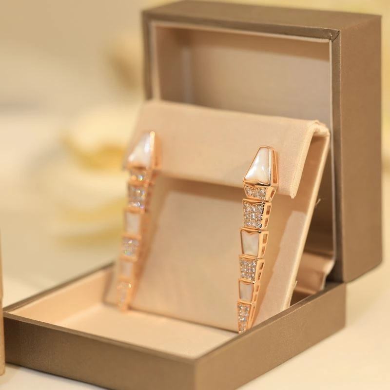 Unclassified Brand Earrings Classic 213752