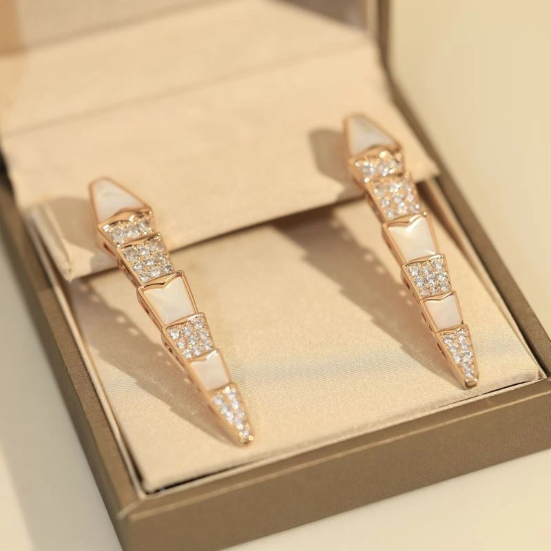 Unclassified Brand Earrings Classic 213752