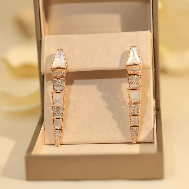 Unclassified Brand Earrings Classic 213752