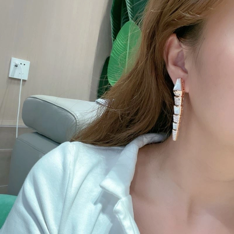 Unclassified Brand Earrings Classic 213752