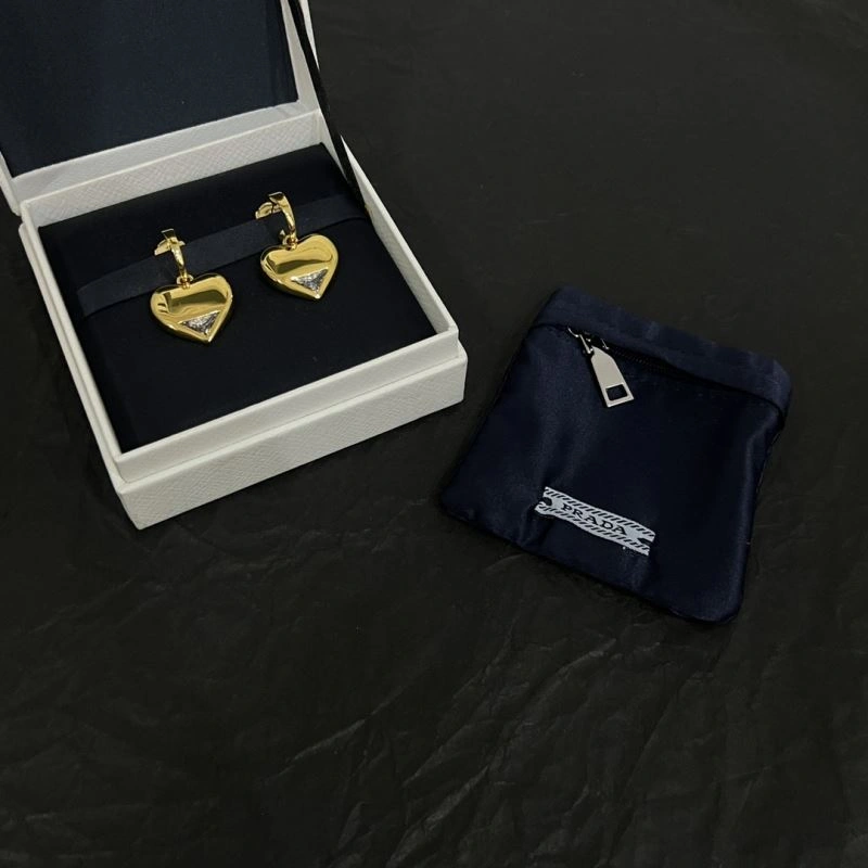 Compact Unclassified Brand Earrings 213745