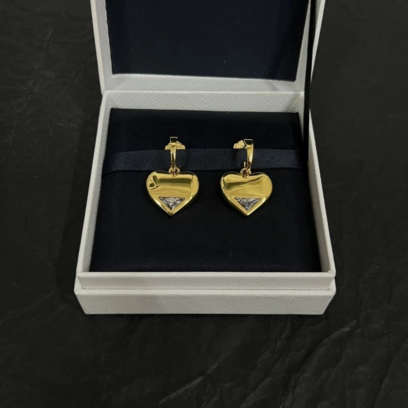 Compact Unclassified Brand Earrings 213745