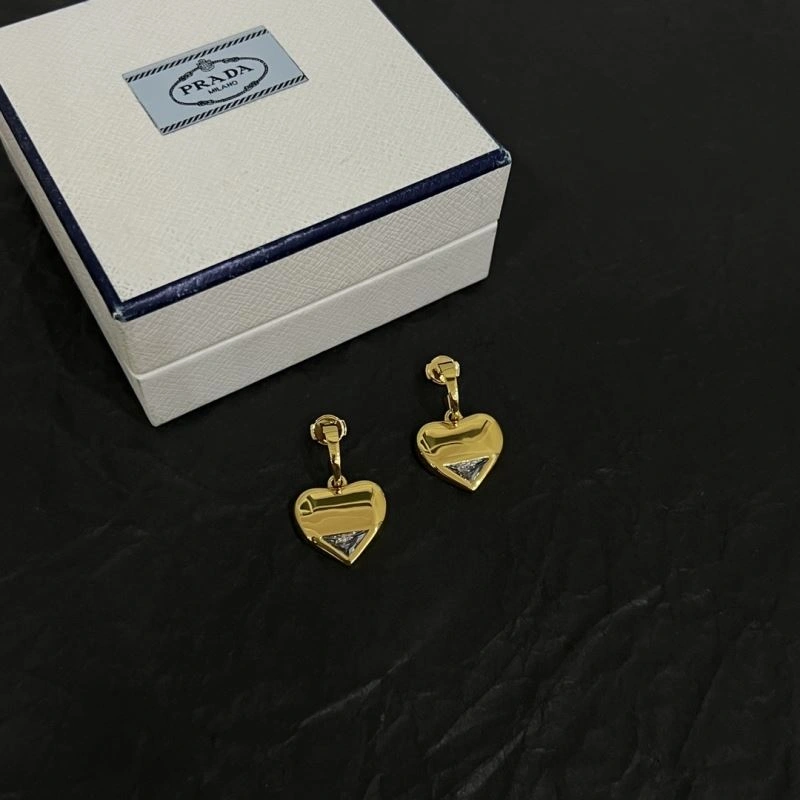Compact Unclassified Brand Earrings 213745