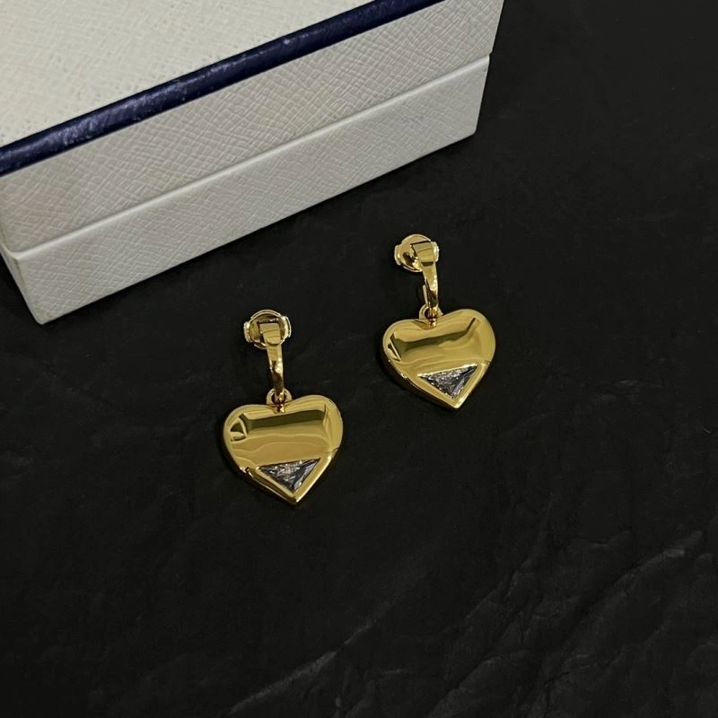 Compact Unclassified Brand Earrings 213745