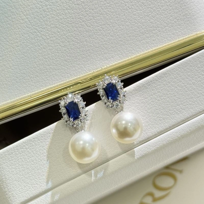 EyeCatching Unclassified Brand Earrings 213358
