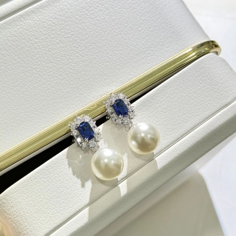 EyeCatching Unclassified Brand Earrings 213358