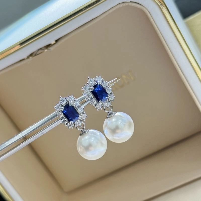 EyeCatching Unclassified Brand Earrings 213358