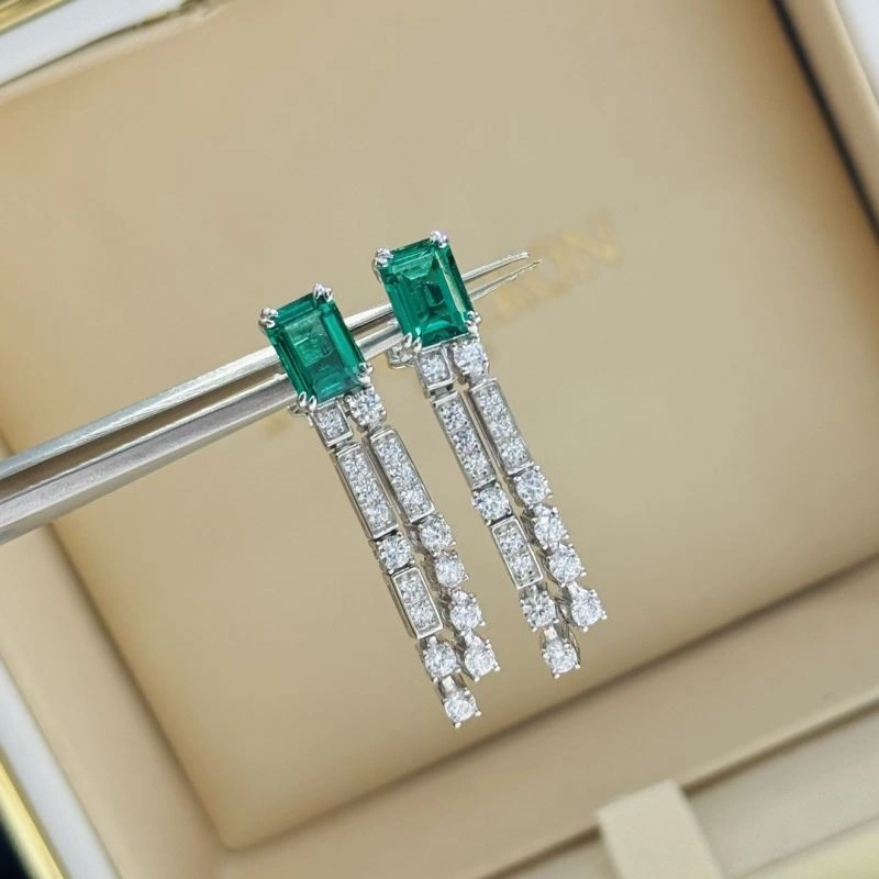 Comfortable Unclassified Brand Earrings 213350