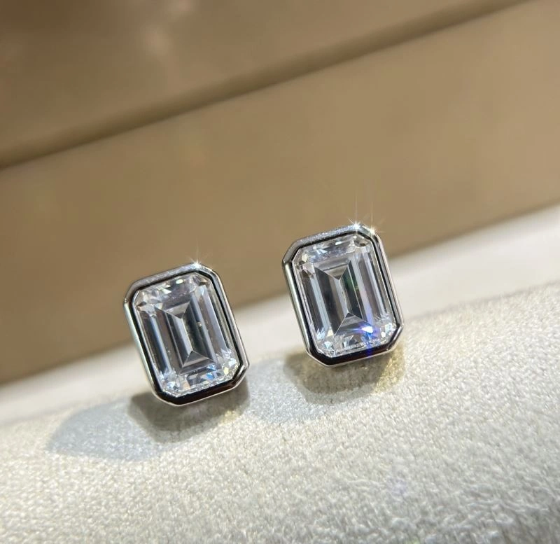 Unclassified Brand Earrings Premium 213348