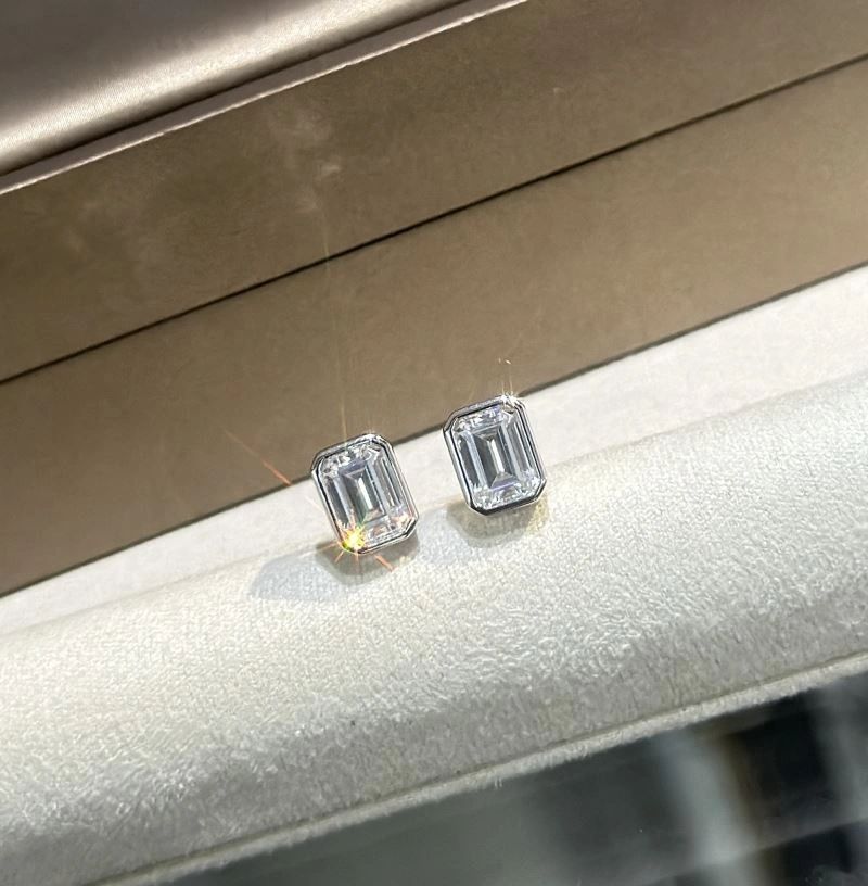 Unclassified Brand Earrings Premium 213348