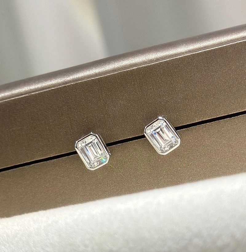 Unclassified Brand Earrings Premium 213348