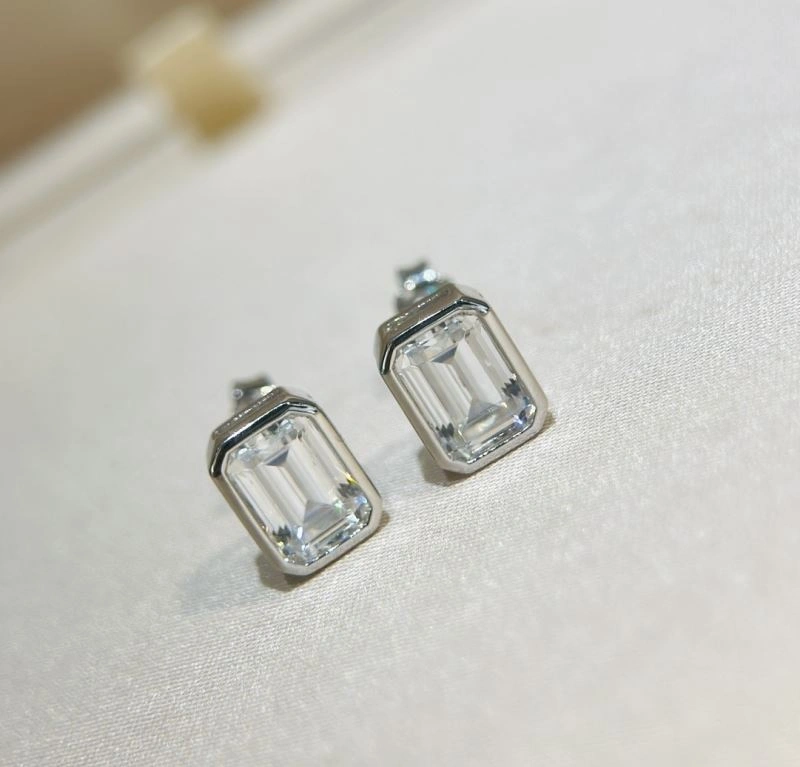 Unclassified Brand Earrings Premium 213348