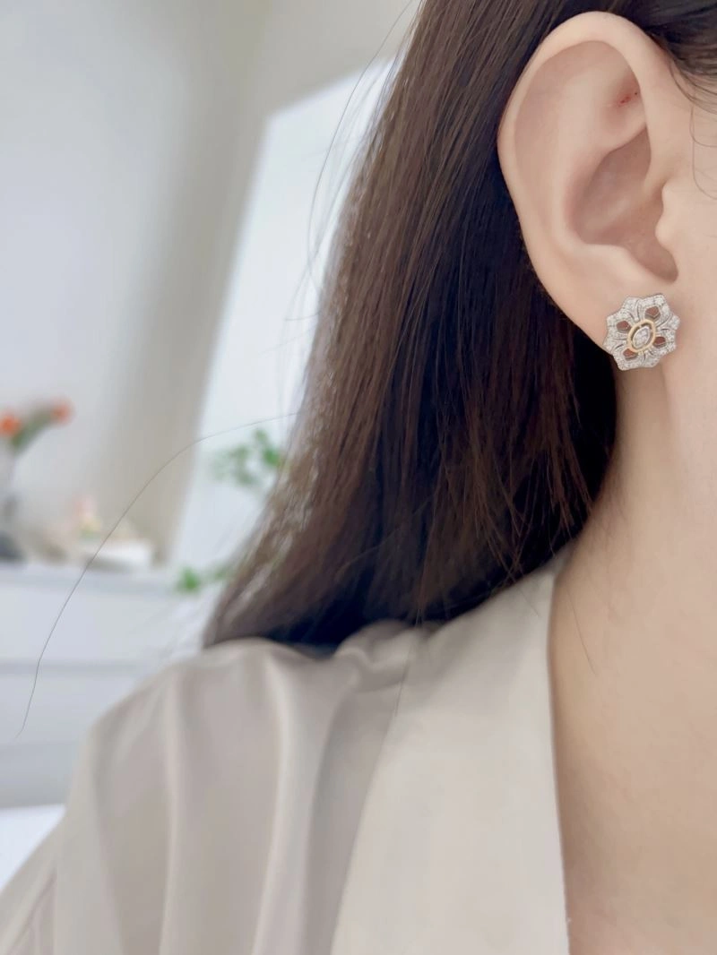 Unclassified Brand Earrings Soft 213335