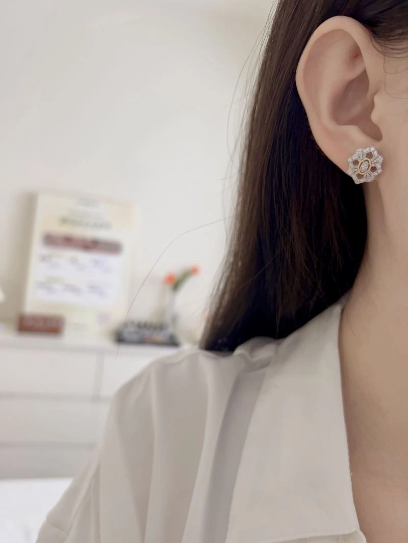 Unclassified Brand Earrings Soft 213335