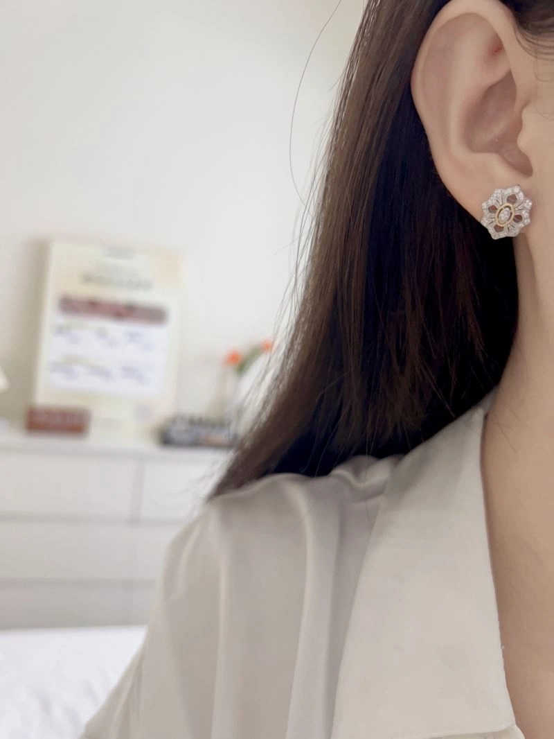 Unclassified Brand Earrings Soft 213335