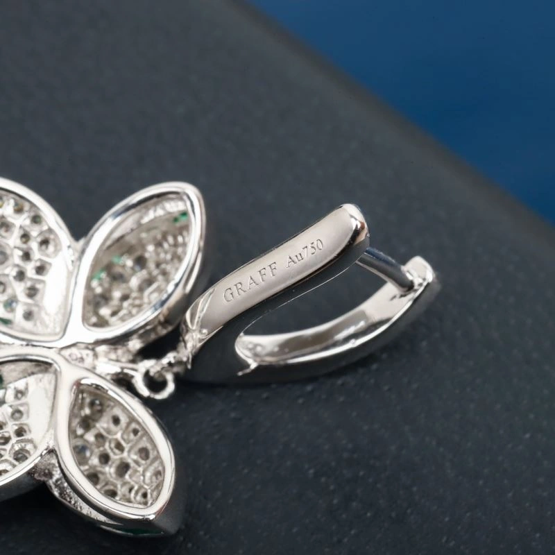 Unclassified Brand Earrings Resilient 213316