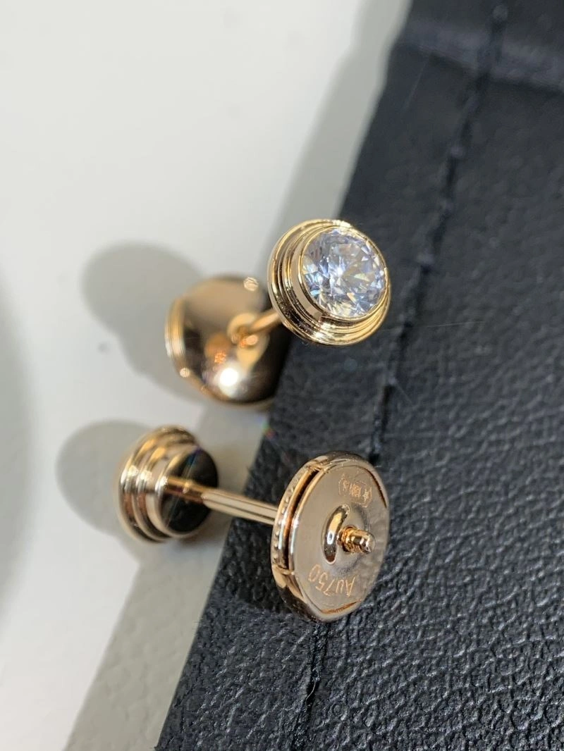 Functional Unclassified Brand Earrings 213317