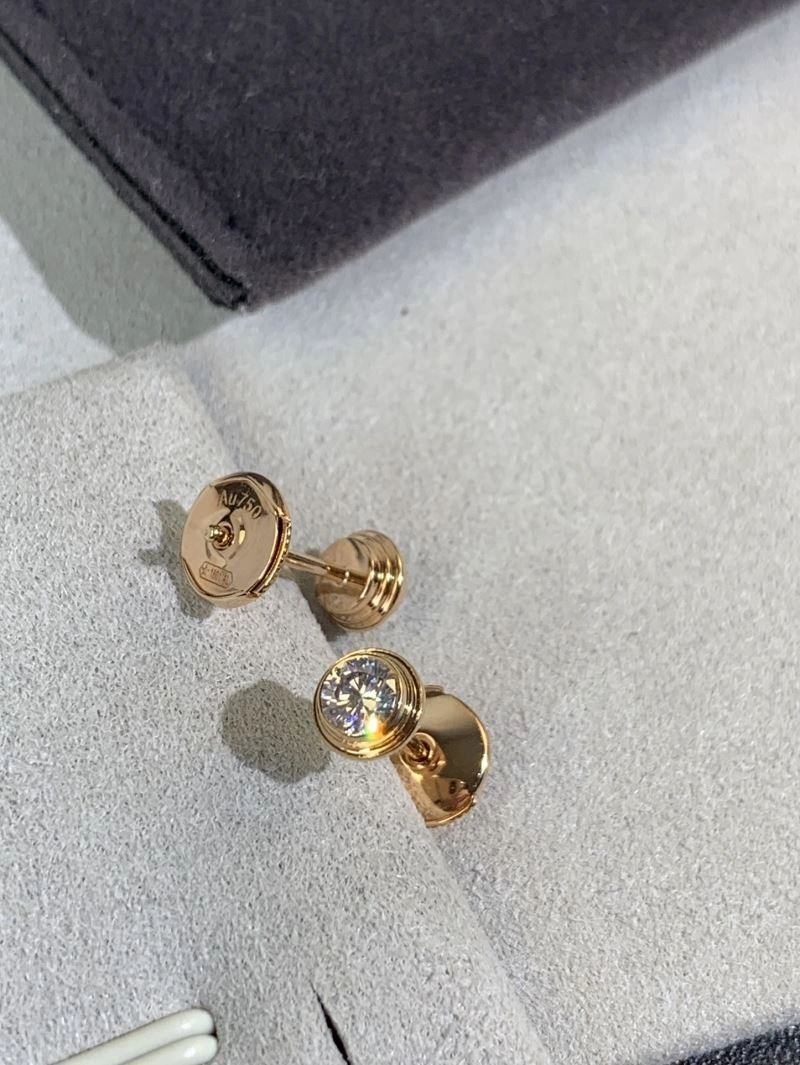 Functional Unclassified Brand Earrings 213317