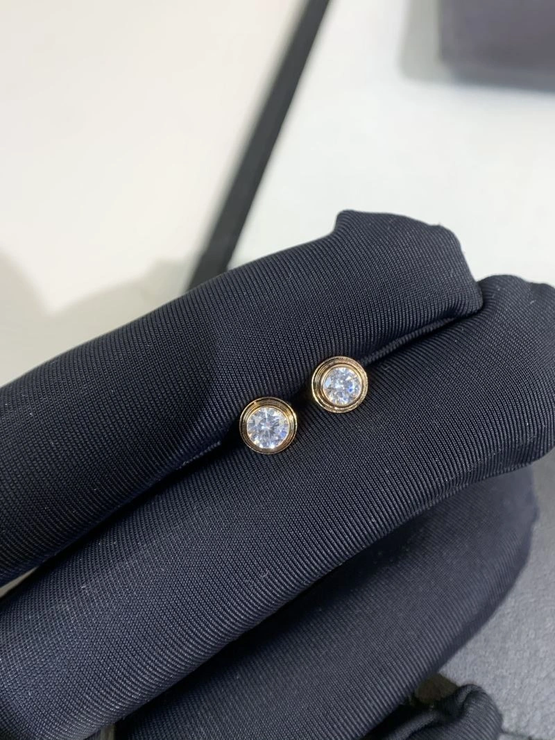 Functional Unclassified Brand Earrings 213317