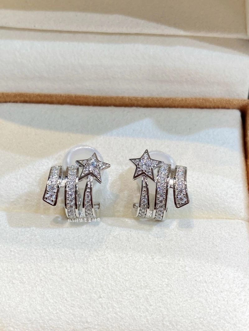 Unclassified Brand Earrings WrinkleFree 213314