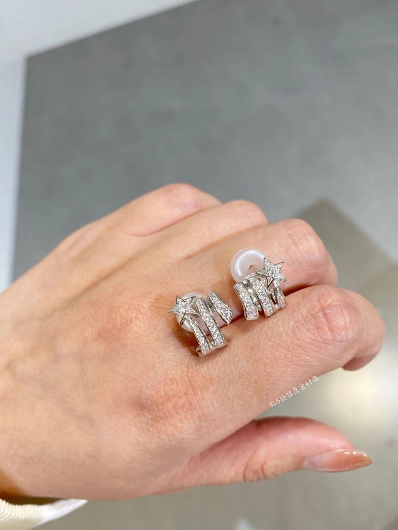 Unclassified Brand Earrings WrinkleFree 213314