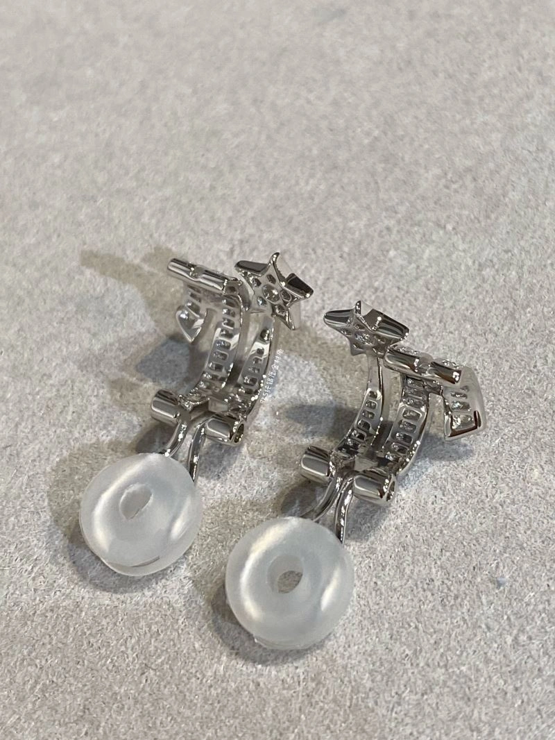 Unclassified Brand Earrings WrinkleFree 213314