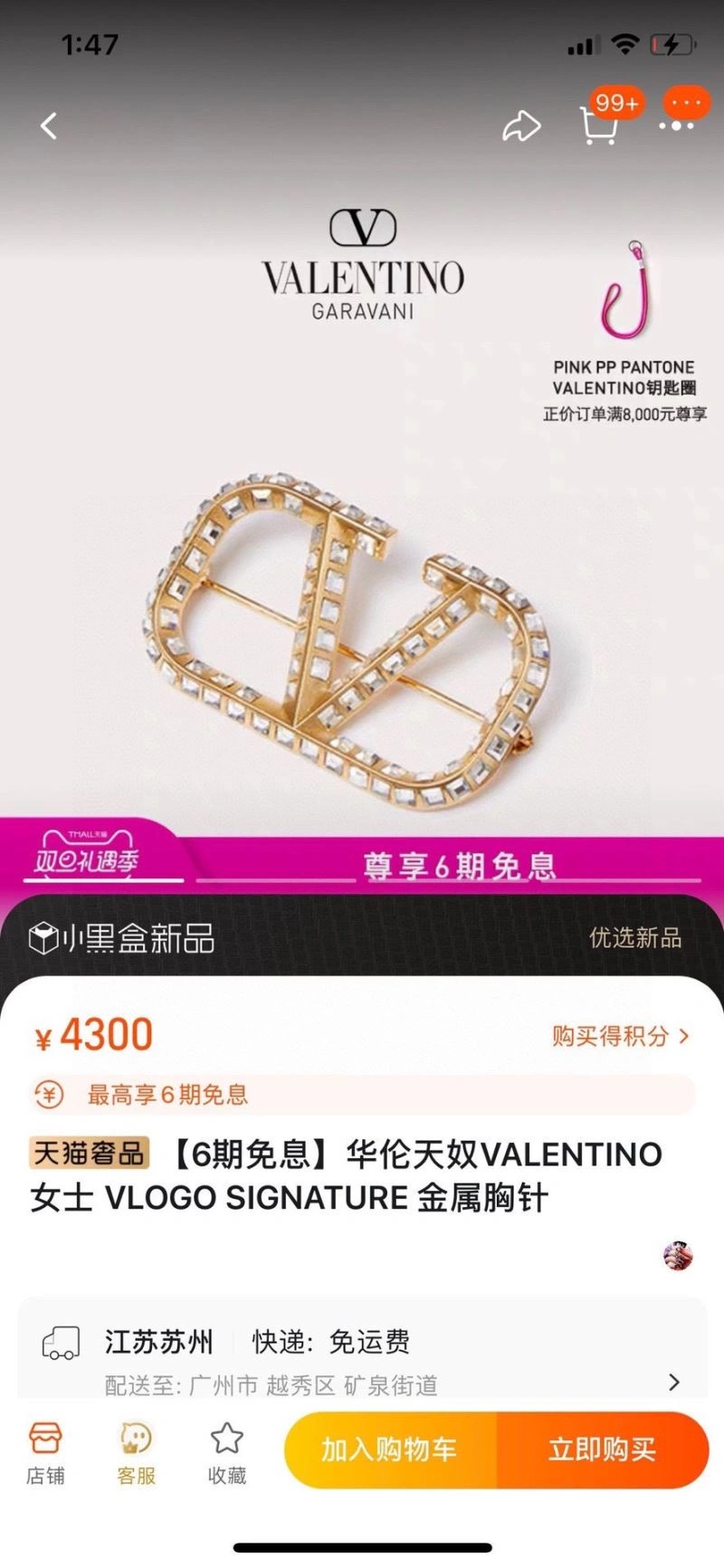 ZipUp Valentino Brooches 212823
