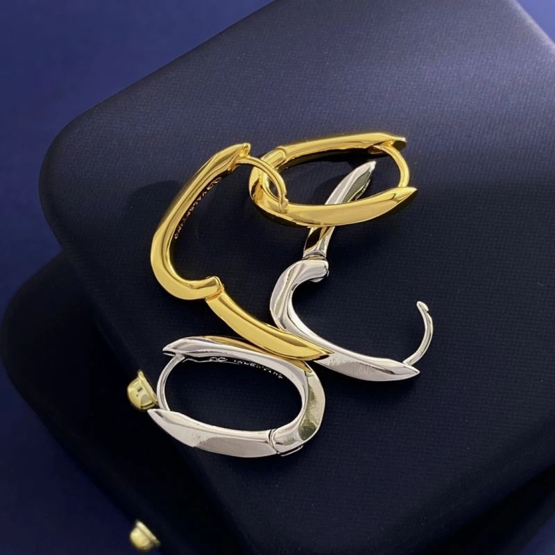 Valentino Earrings Durable 214105