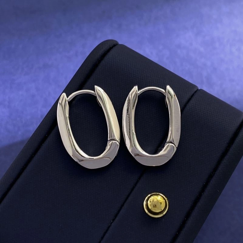 Valentino Earrings Durable 214105
