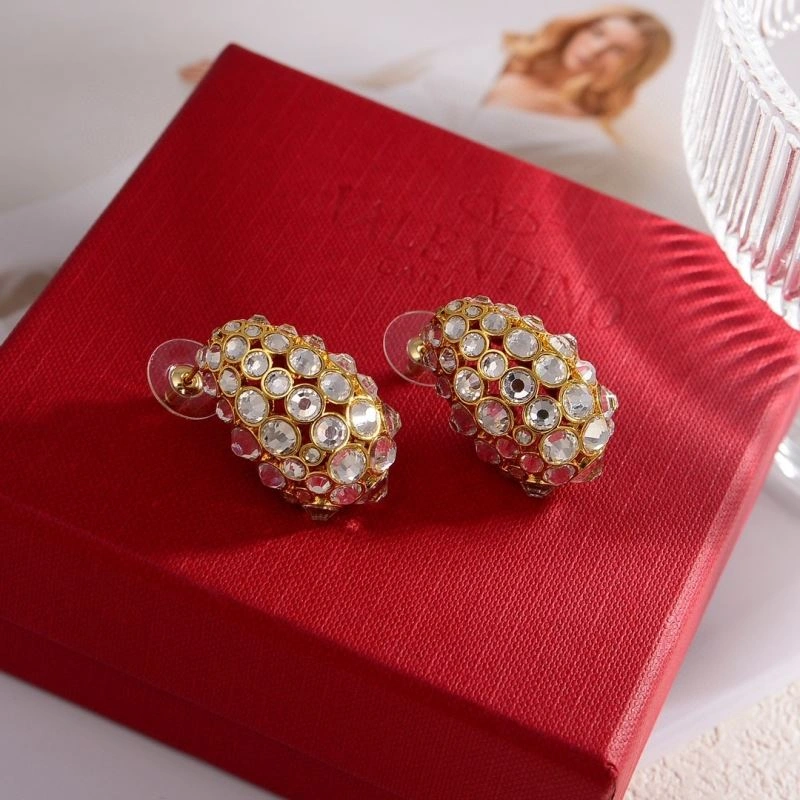 Valentino Earrings Affordable 214090