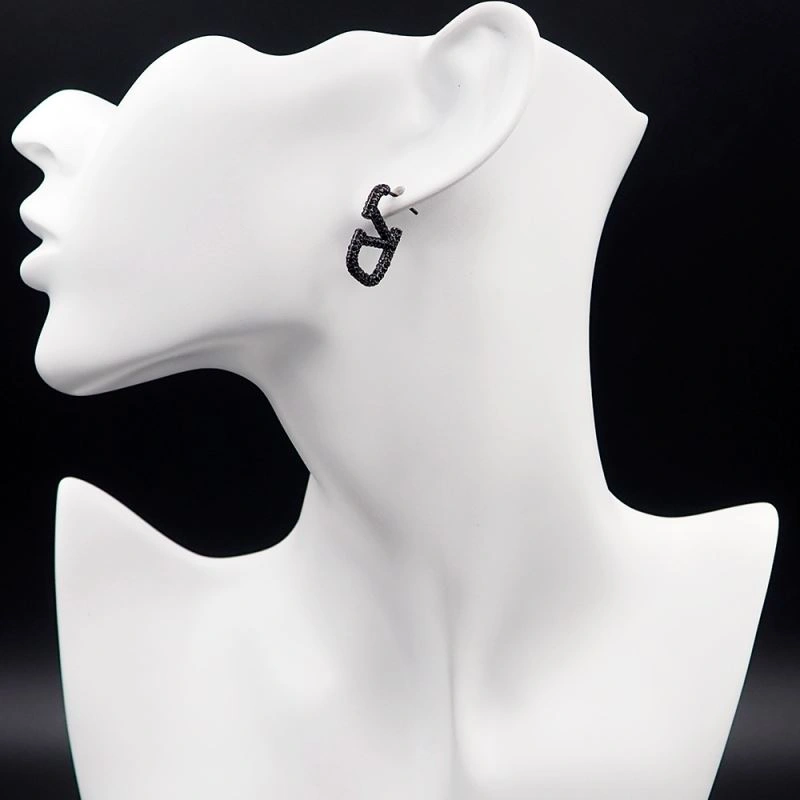 Valentino Earrings Bold 212815
