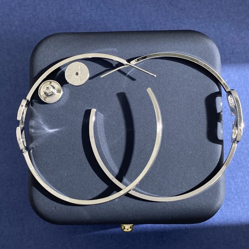 Valentino Earrings SmartChoice 211651