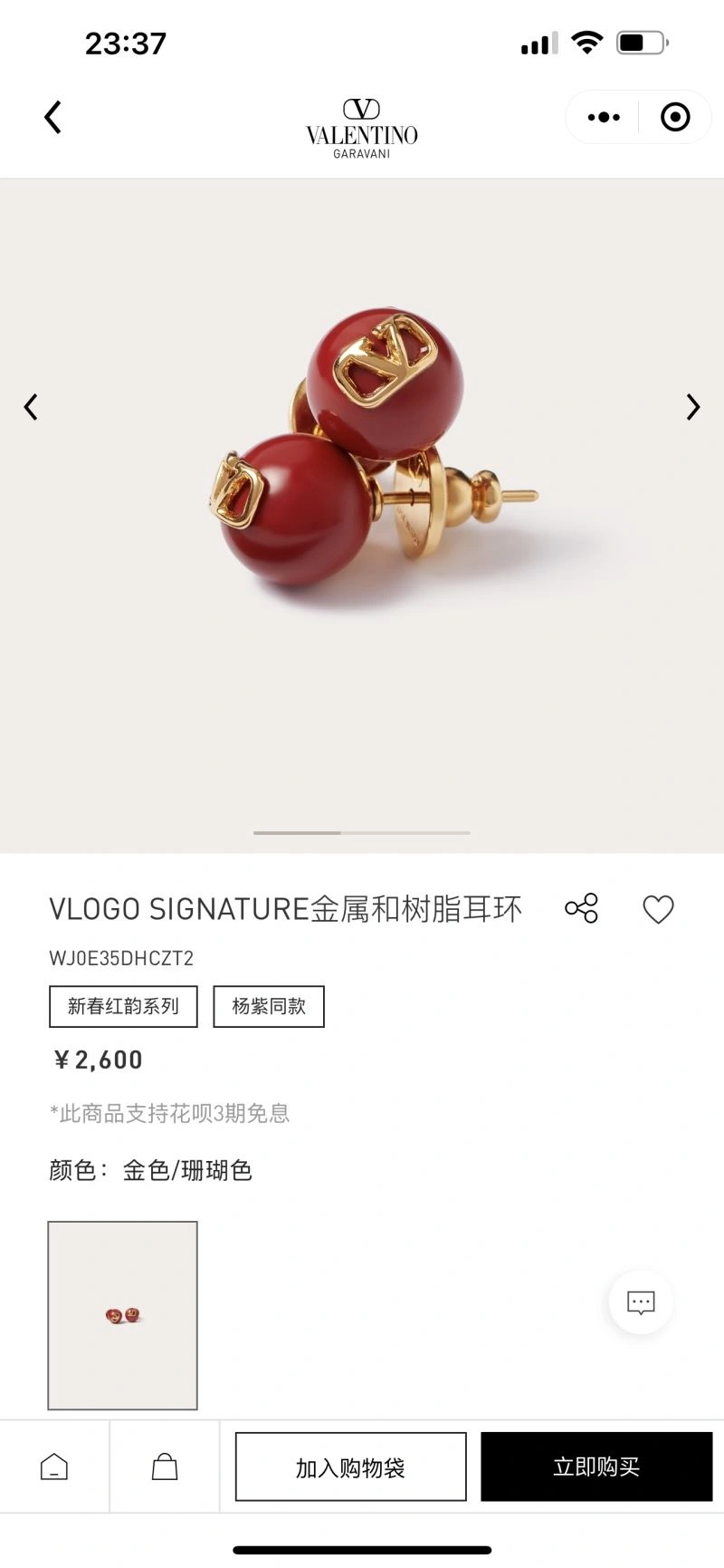 UrbanStyle Valentino Earrings 211657