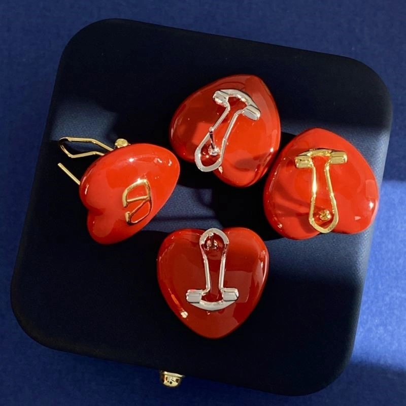 Valentino Earrings Thermal 210327