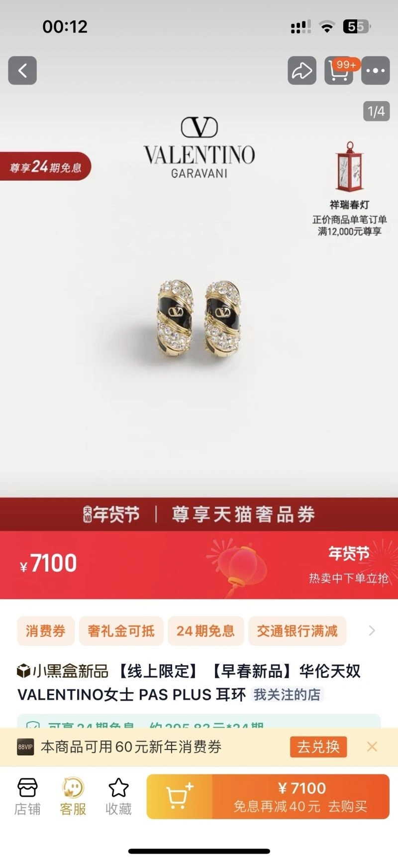 Valentino Earrings Lightweight 210324
