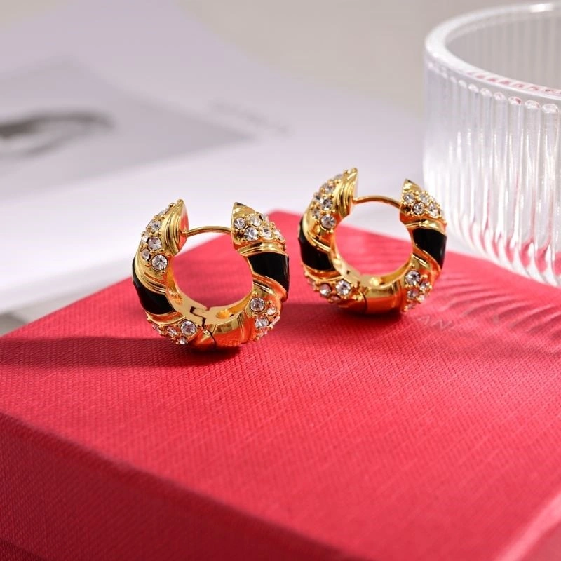 Valentino Earrings Lightweight 210324