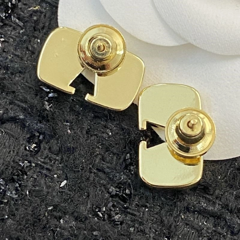 Durable Valentino Earrings 210315