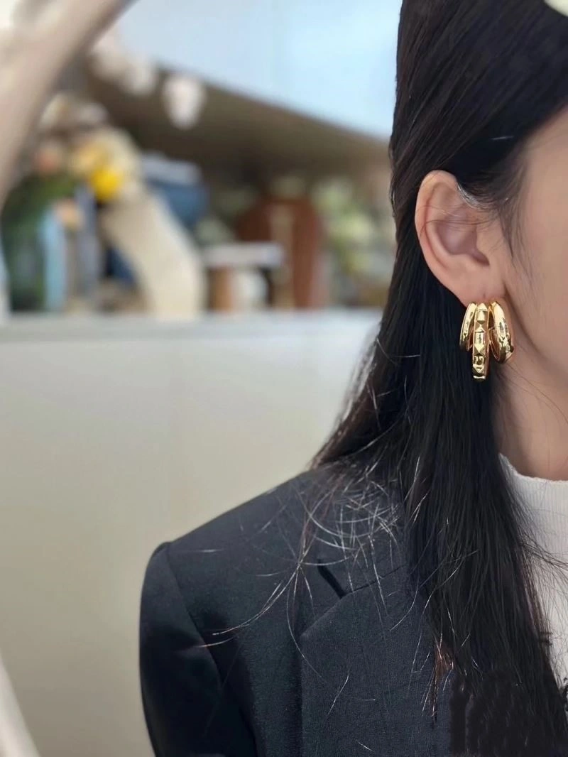 Valentino Earrings Tailored 209645