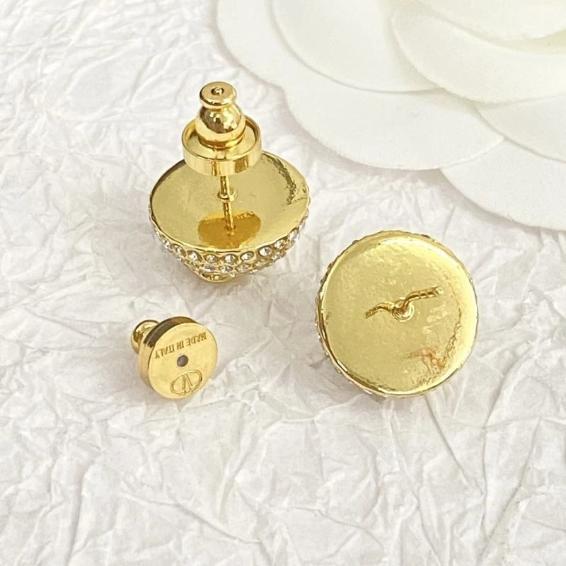 Stylish Valentino Earrings 209635