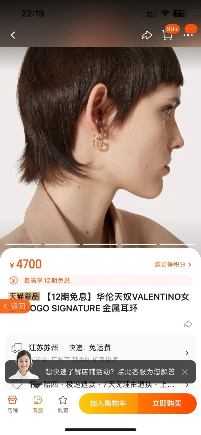 Valentino Earrings Unique 209086