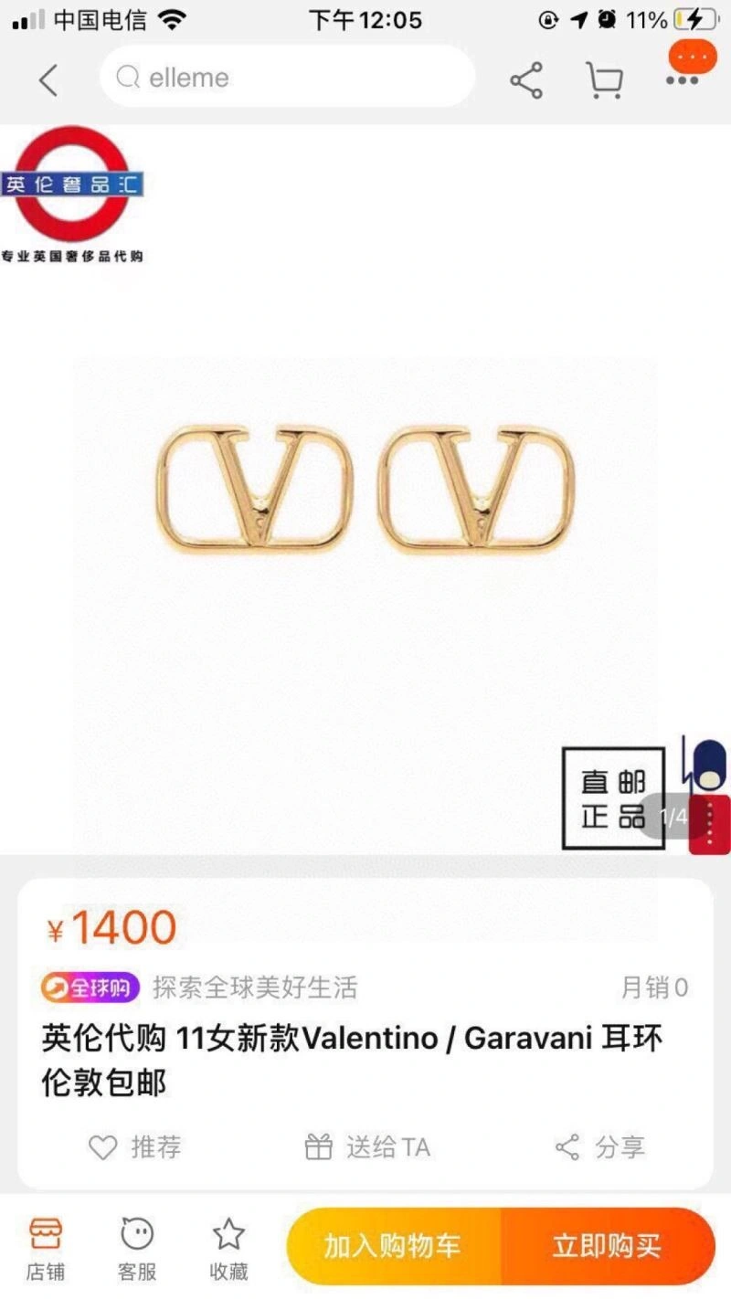 Attractive Valentino Earrings 209093