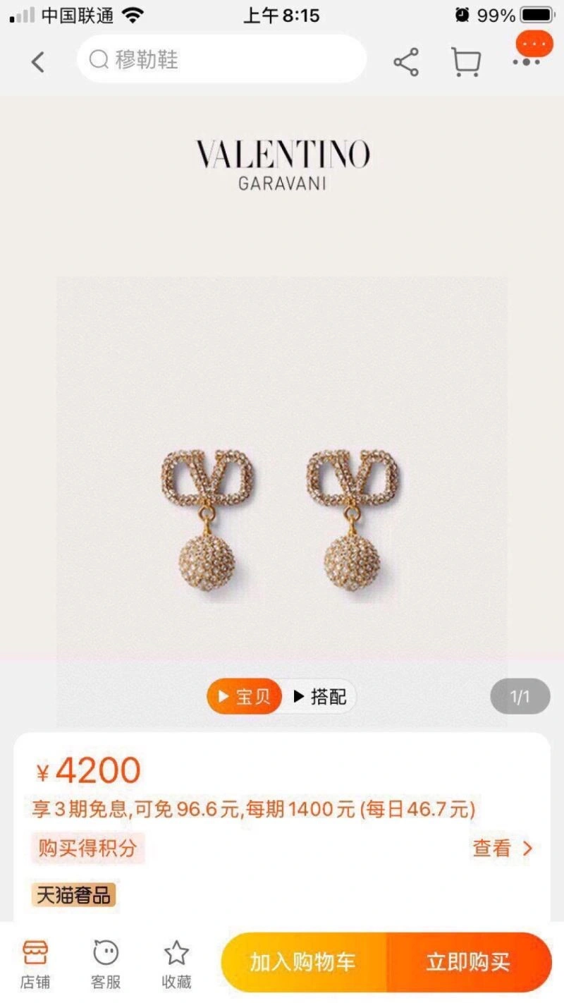 Unisex Valentino Earrings 208427