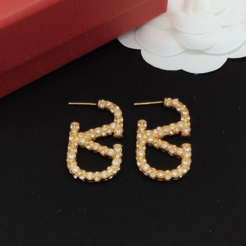 Valentino Earrings Fashionable 207731