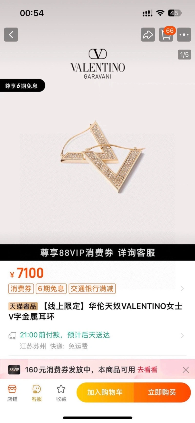 Classic Valentino Earrings 207718