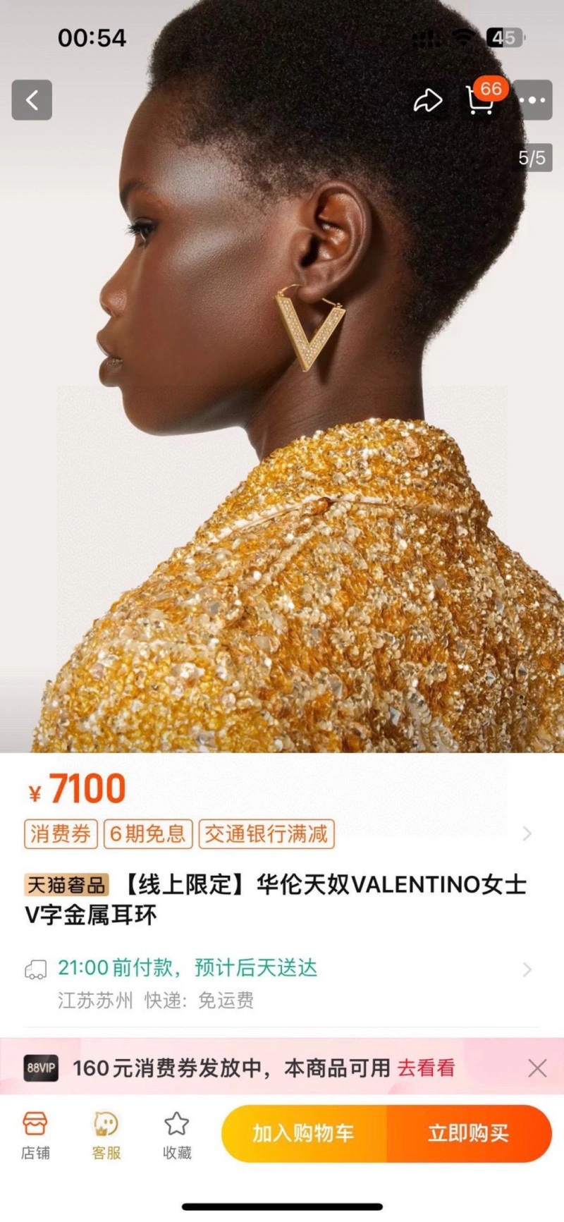 Classic Valentino Earrings 207718