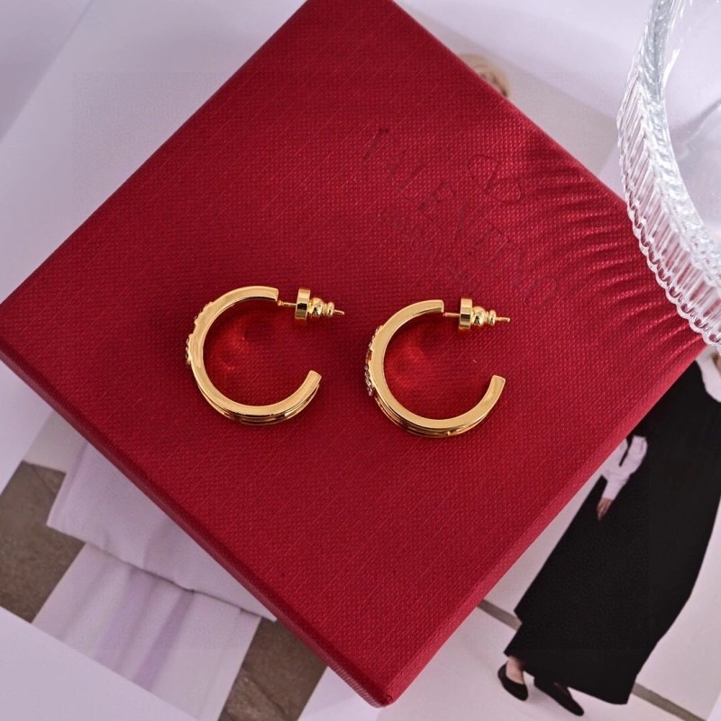 ModernLook Valentino Earrings 207709