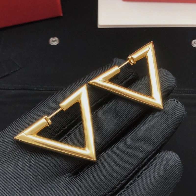Practical Valentino Earrings 207701